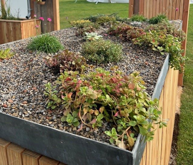 Green roofs