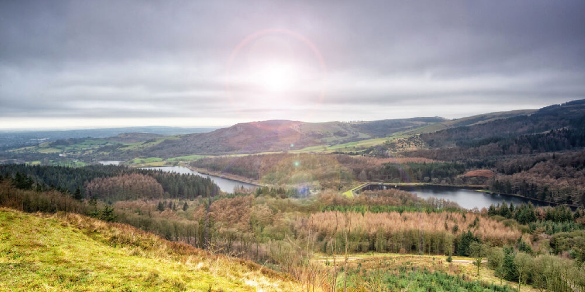 Macclesfield Forest