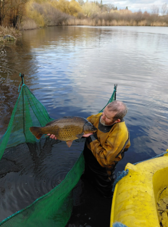 Fisherman