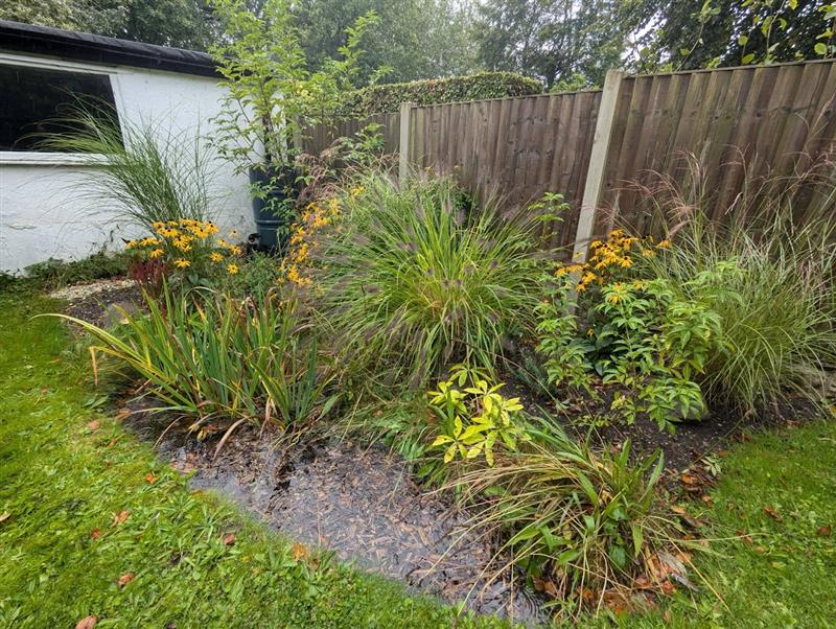 Rain gardens
